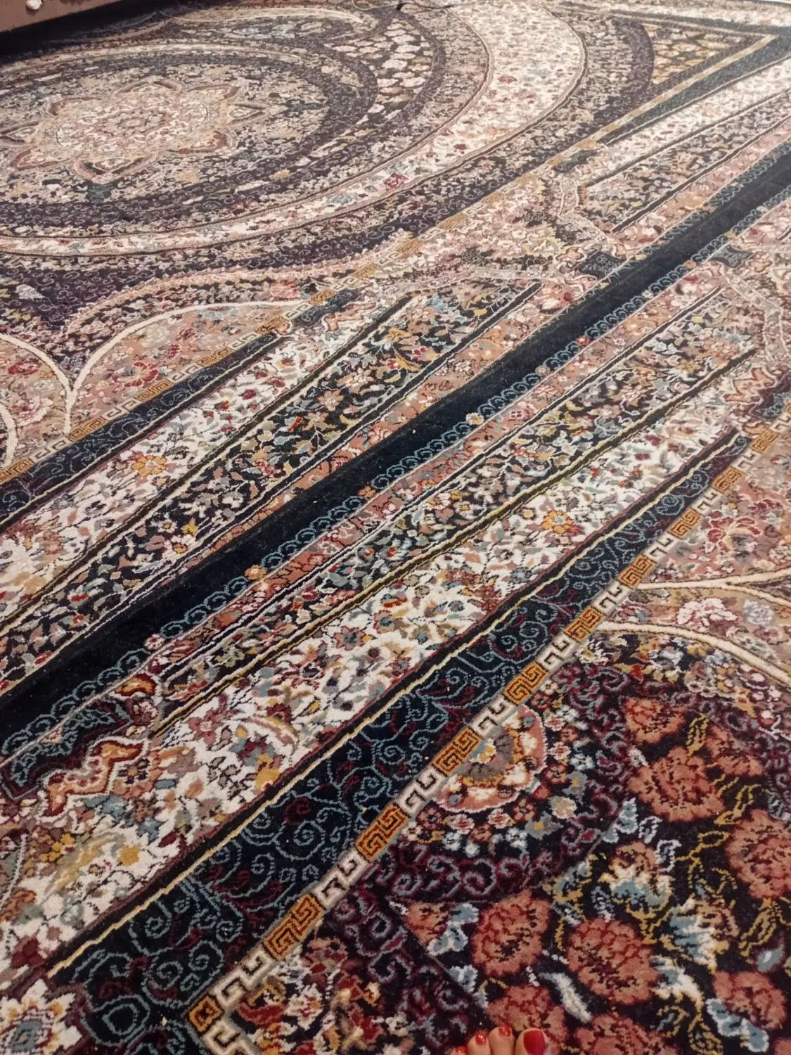 نظمی|فرش|تربت‌حیدریه, آغوی|دیوار