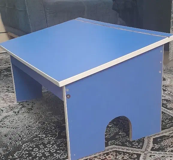 میز تحریر کودک فروش یا معاوضه با قناری وعروس هلندی|میز تحریر و کامپیوتر|شیراز, قلعه نو|دیوار