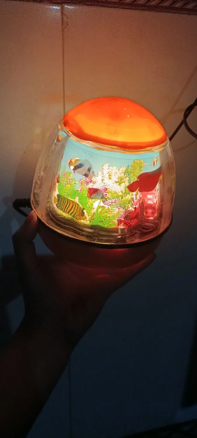 شب خواب|چراغ خواب و آباژور|کرمانشاه, |دیوار