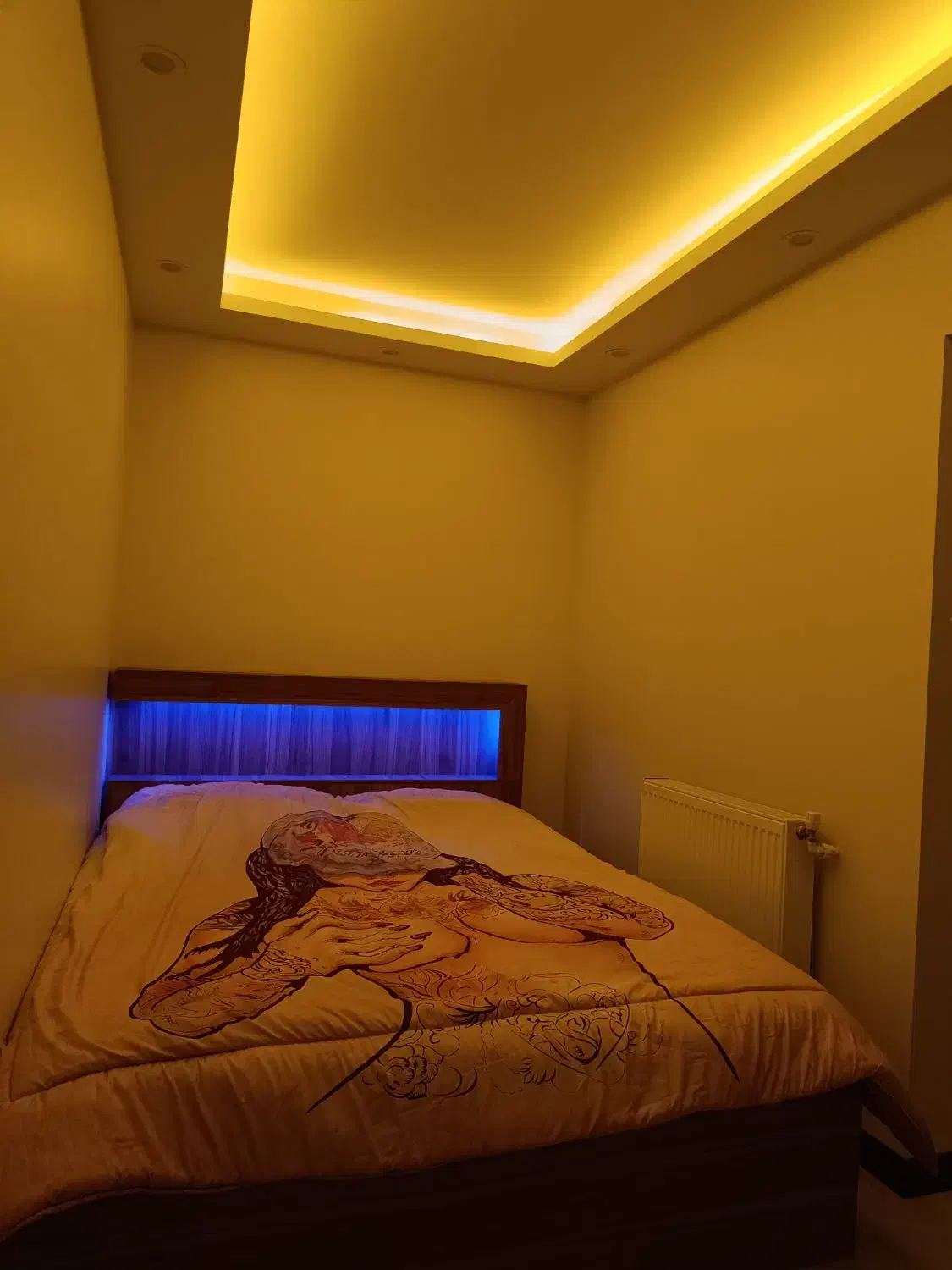 اجاره آپارتمان روزانه / سوعیت /اجاره ساعتی/ نوساز|اجارهٔ کوتاه‌مدت آپارتمان و سوئیت|تهران, شمیران‌نو|دیوار