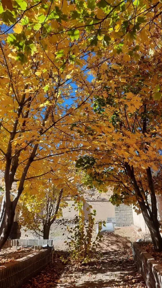 ۳ قطعه باغشهری بهارستان|فروش زمین و ملک کلنگی|صدرا-فارس, باغشهر بهارستان صدرا|دیوار