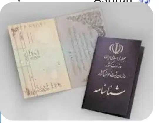 گمشده مژدگانی|اشیا|تربتحیدریه, رضاشهر|دیوار