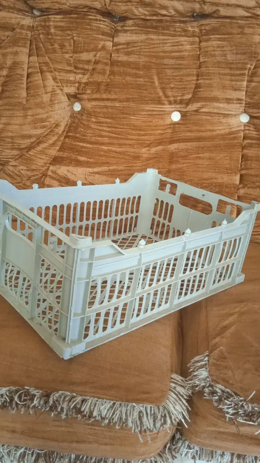 سبد میوه در حد نو|ظروف نگهدارنده، پلاستیکی، یکبارمصرف|پارسآباد, |دیوار