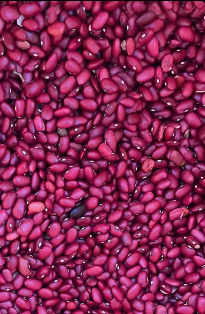 لوبیا قرمز|خوردنی و آشامیدنی|اسلامشهر, شهرک مهدیه|دیوار