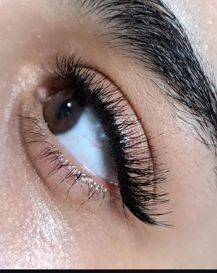 کاشت مژه . لیفت ابرو و لیفت مژه. پاکسازی|خدمات آرایشگری و زیبایی|فولادشهر, C7|دیوار