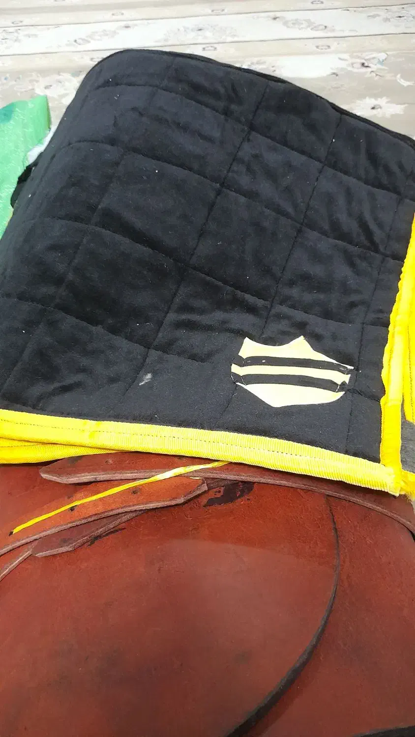 زین اسب|اسب و تجهیزات اسبسواری|شهرضا, |دیوار