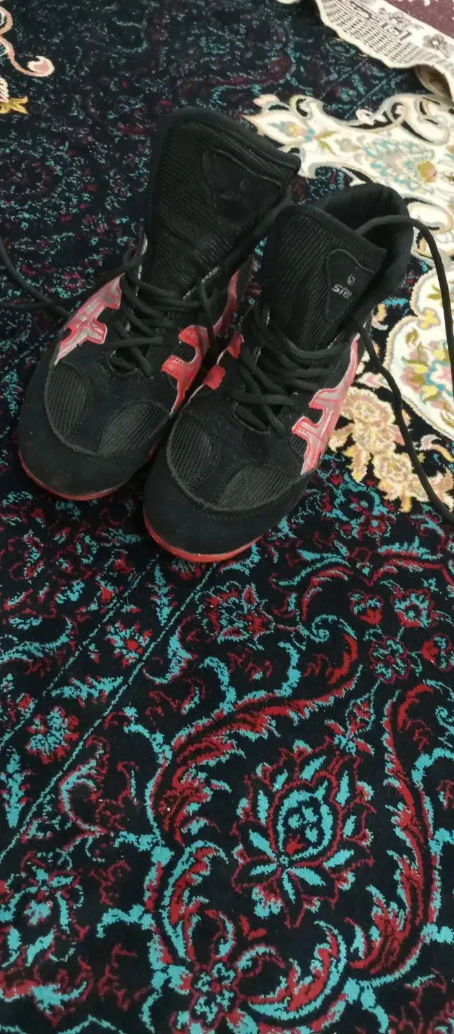 کفش کشتی|کیف، کفش، کمربند|مینودشت, |دیوار