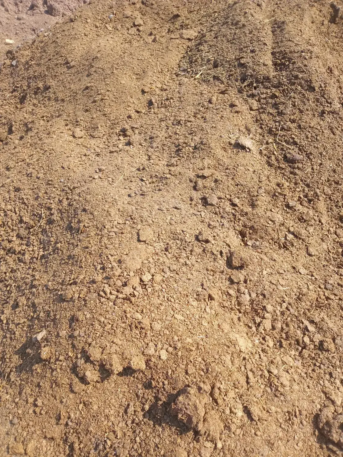 کود حیوانی|خدمات باغبانی و درختکاری|قزوین, |دیوار