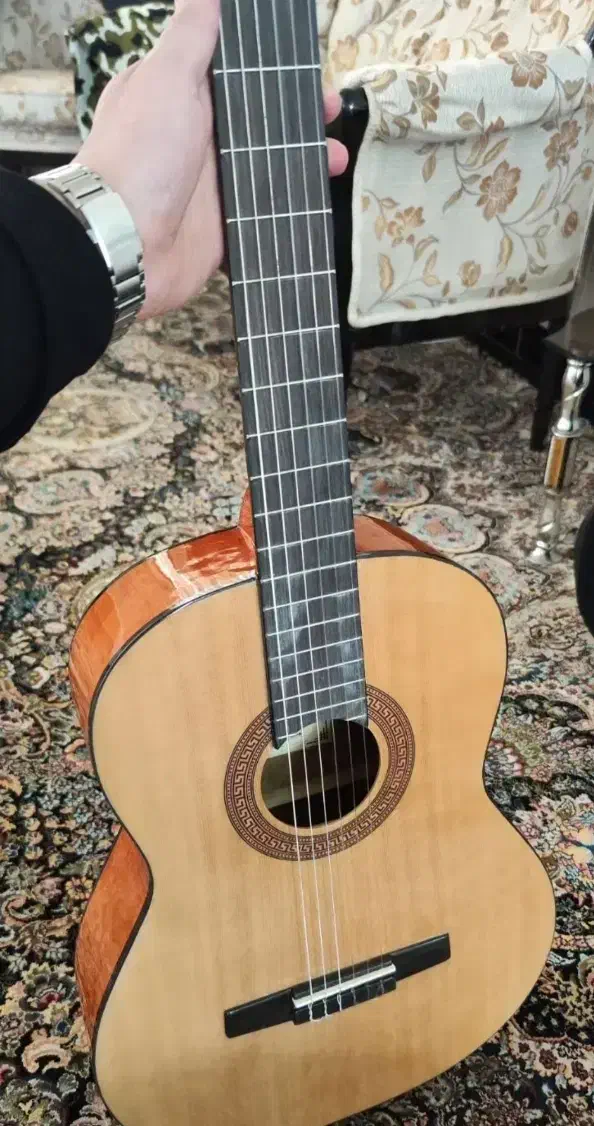 گیتار|گیتار، بیس، امپلیفایر|دامغان, |دیوار