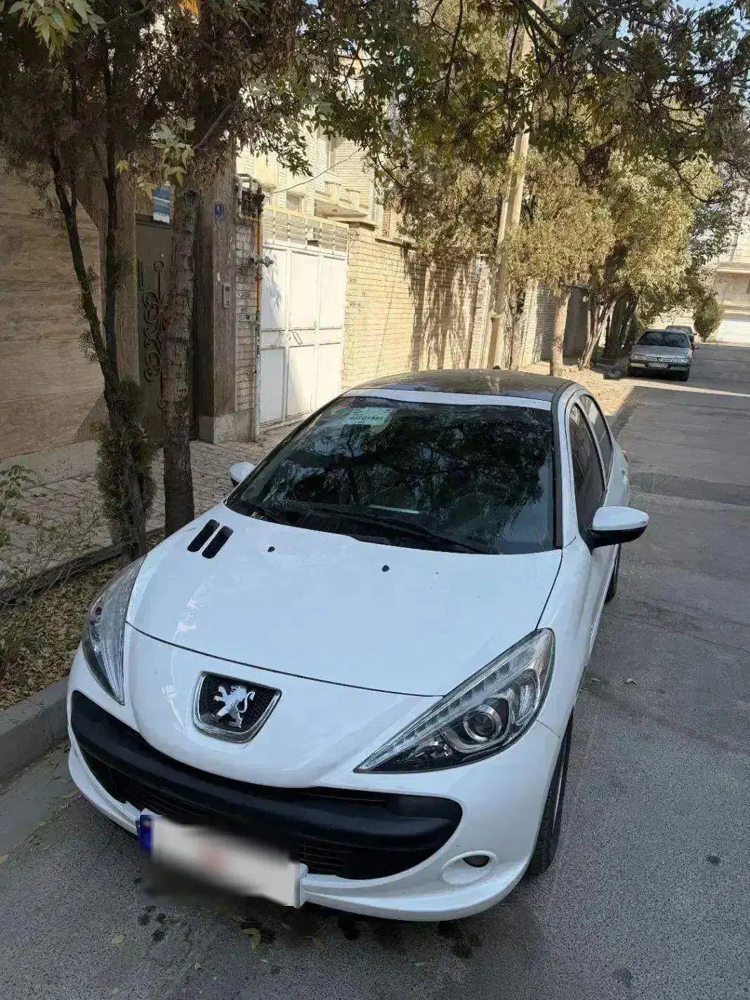 پژو ۲۰۷ پانا برقی ۱۴۰۲ فوری|خودرو سواری و وانت|اراک, |دیوار