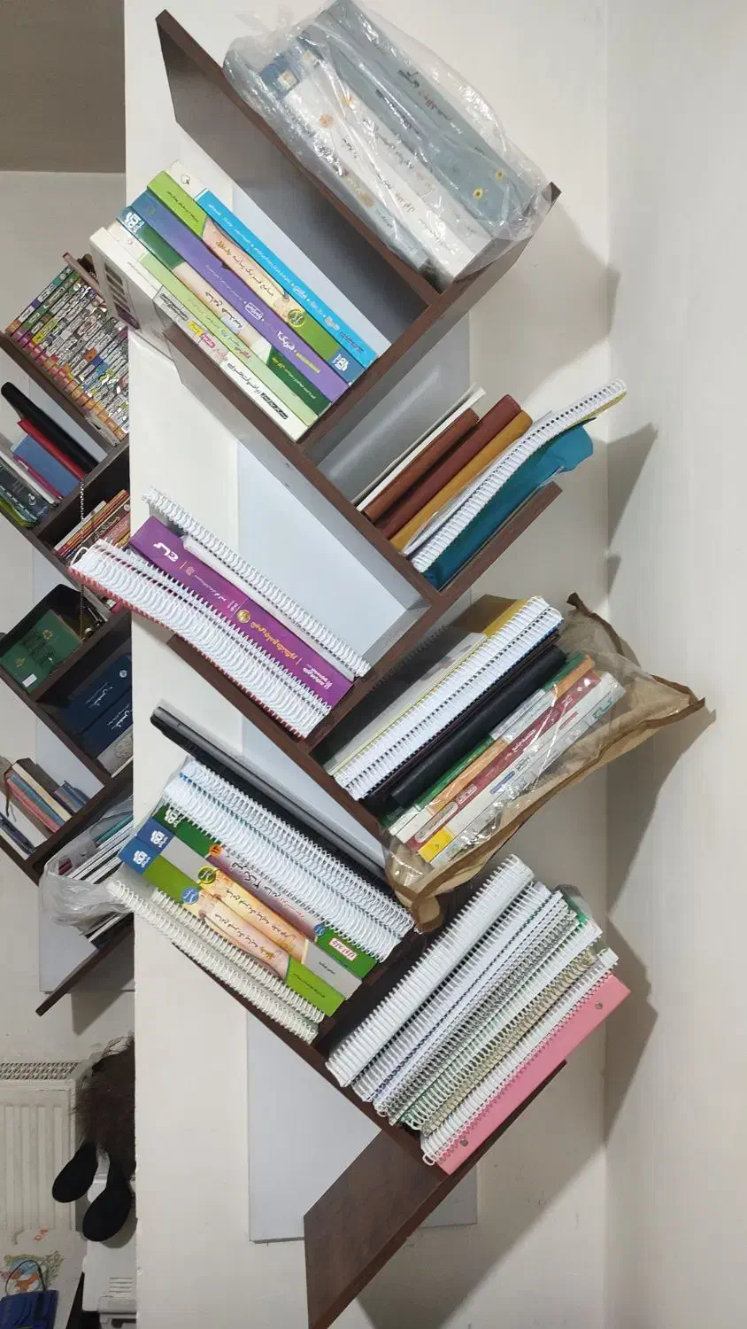 دو عدد کتابخانه درختی دیواری|کتابخانه، شلف، قفسه‌های دیواری|شیراز, فرگاز|دیوار