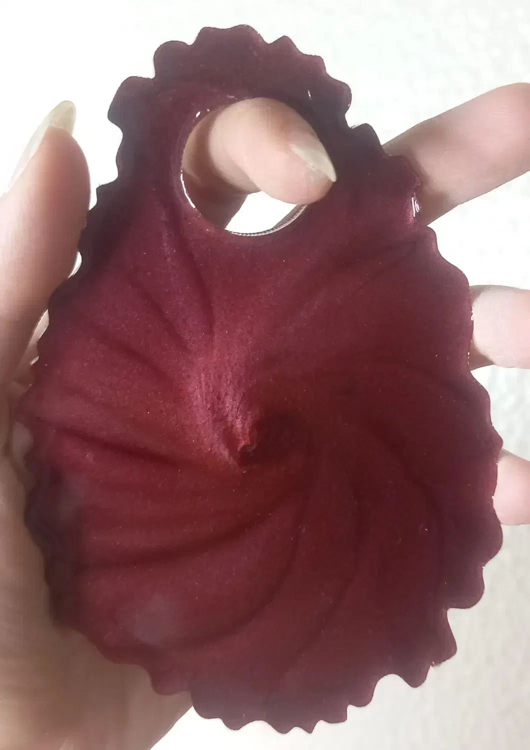 پالت ترکیب رنگ و ناخن|آرایشگاه و سالن‌های زیبایی|شاهین‌شهر, فردوسی|دیوار