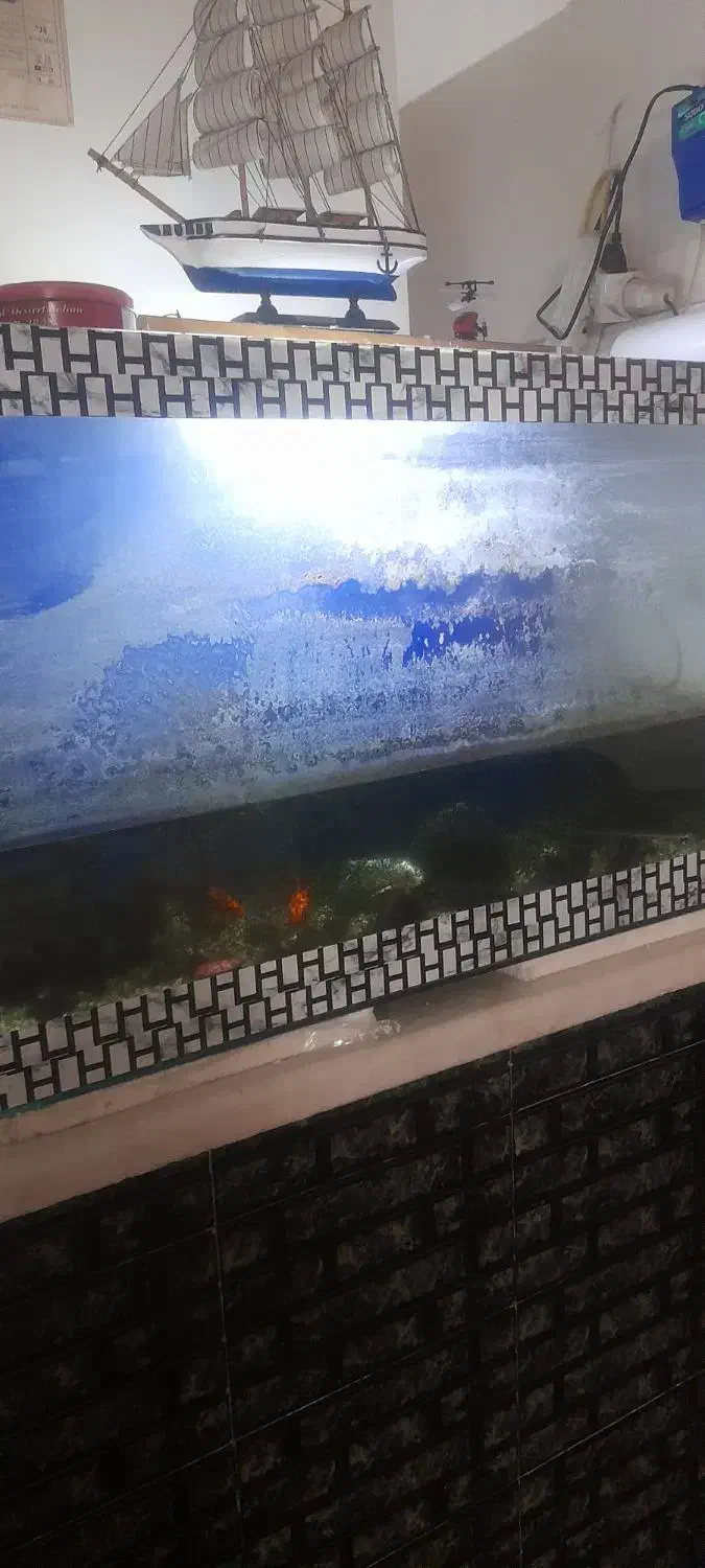 آکواریوم با تمام وسایل|ماهی|قرچک, مهدیه|دیوار