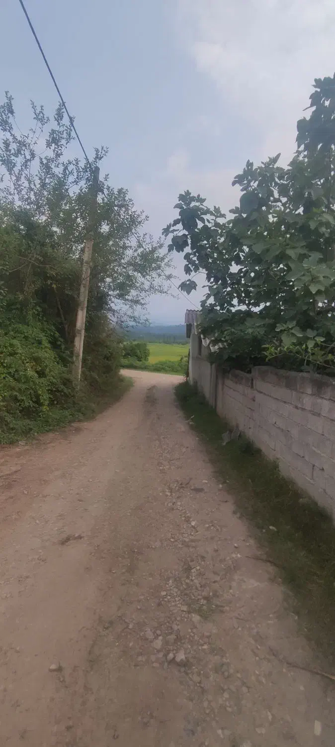 فروش فوری زمین شرایطی|فروش زمین و ملک کلنگی|گلوگاه بابل (گلیا), |دیوار