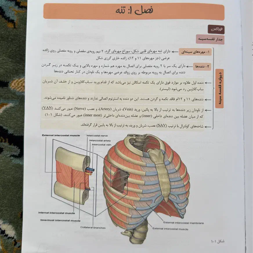 پک کامل کتاب علوم پایه پزشکی پروگنوز۱۴۰۴(نو نو)|کتاب و مجله آموزشی|تهران, مرزداران|دیوار