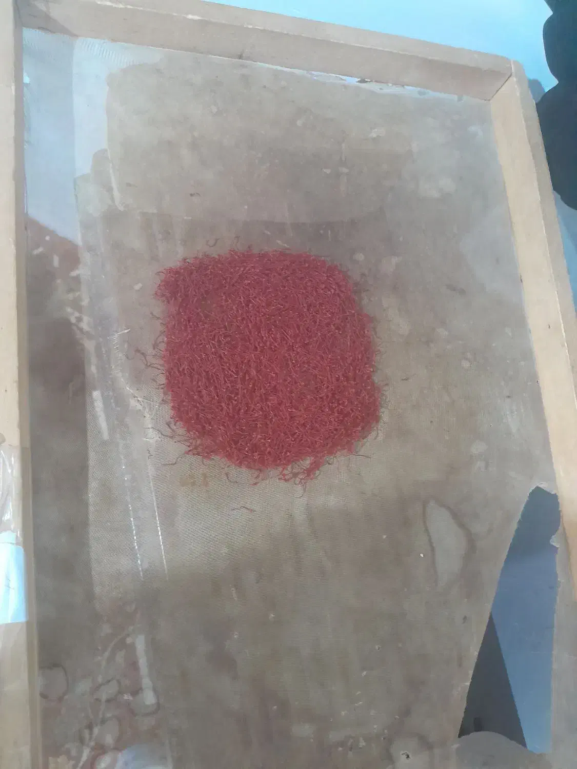 زعفرون تربت حیدریه|عمدهفروشی|قائمشهر, |دیوار