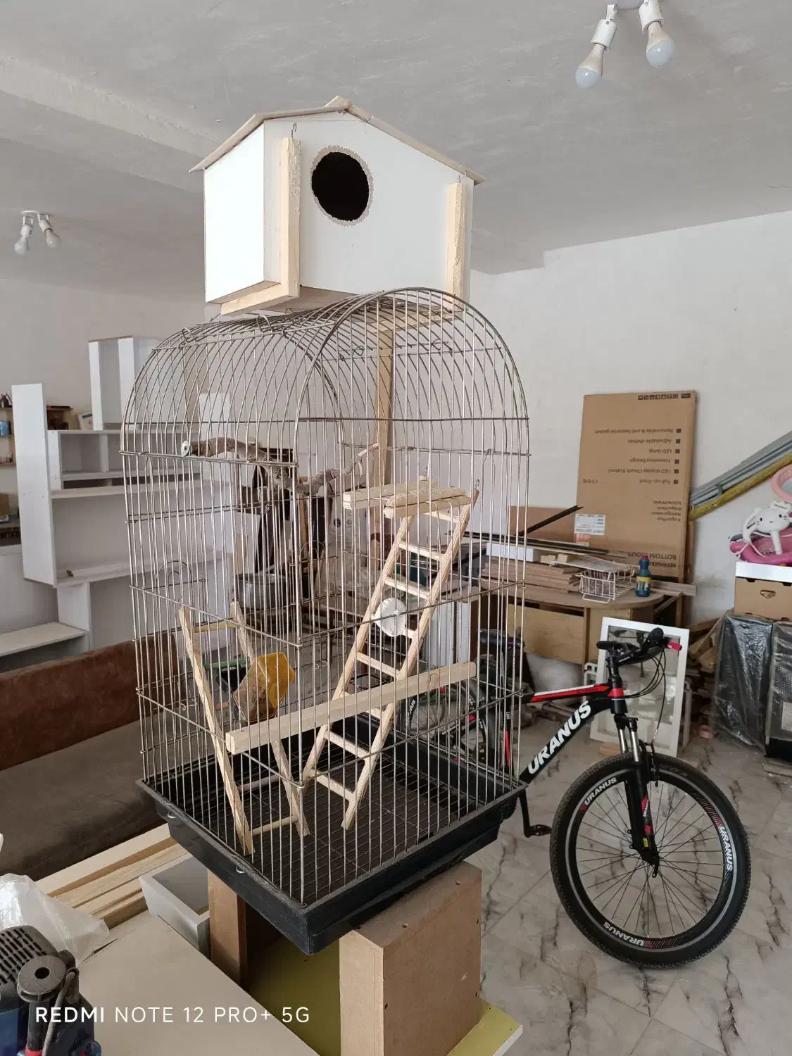 قفس و لانه|لوازم جانبی حیوانات|ایوان, |دیوار