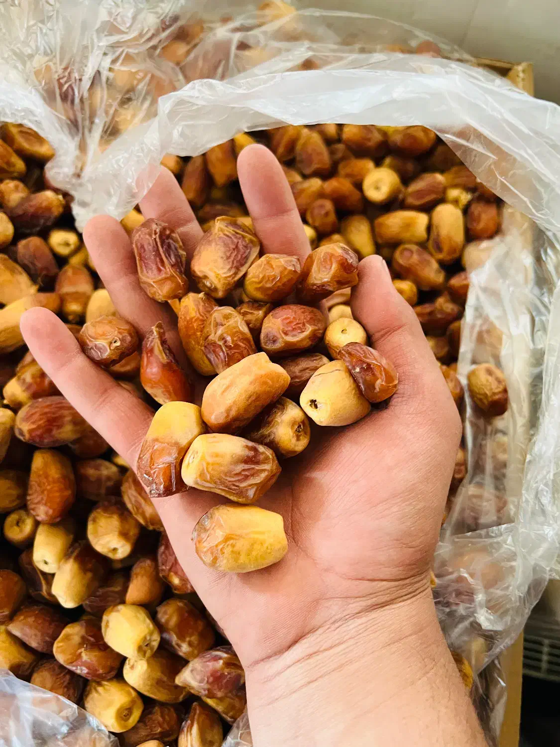 خرمای زاهدی ،خرما|عمده‌فروشی|تهران, شهرک ولیعصر جنوبی|دیوار