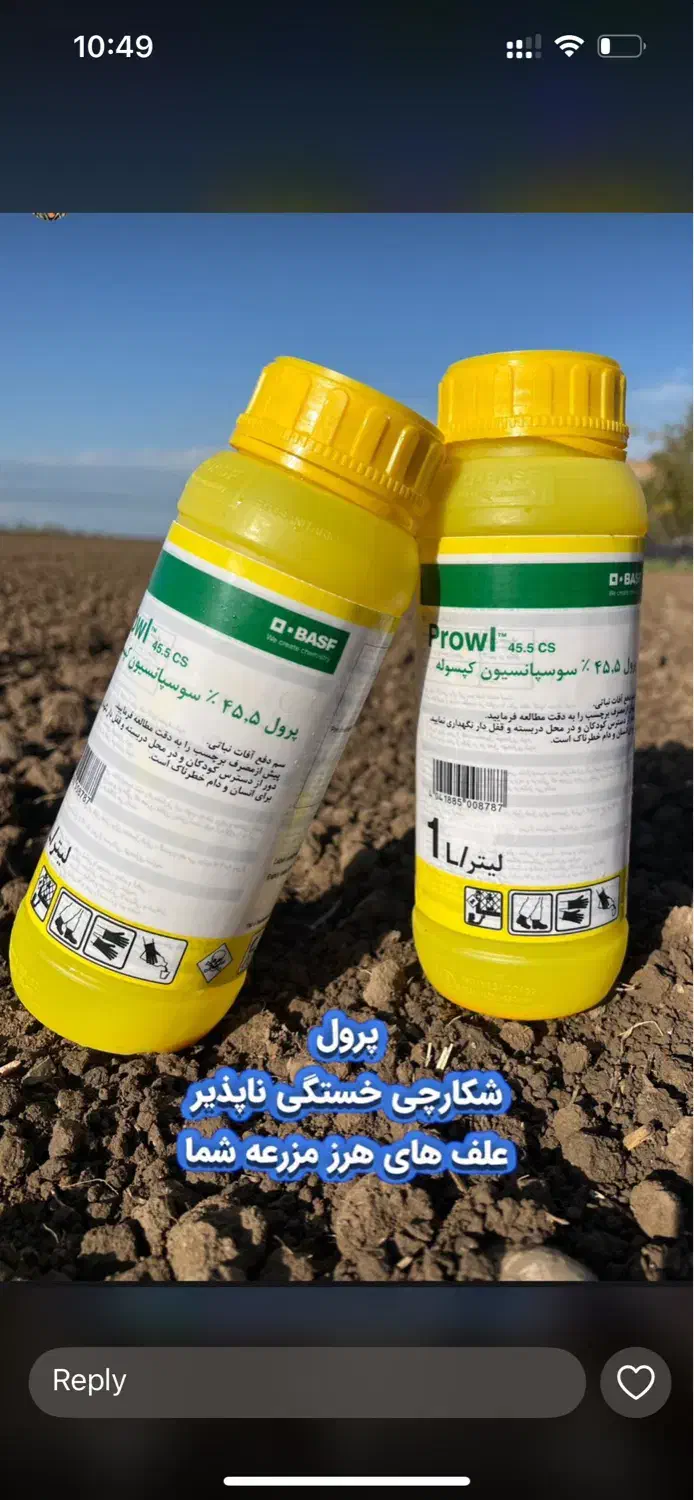 استخدام فروشنده|استخدام خدمات فروشگاه و رستوران|جیرفت, |دیوار