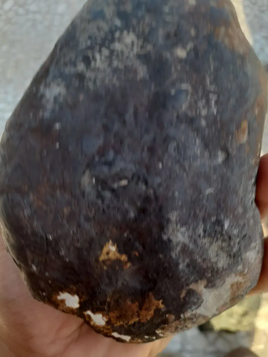 شهاب سنگ|کلکسیون اشیاء عتیقه|بندرعباس, |دیوار