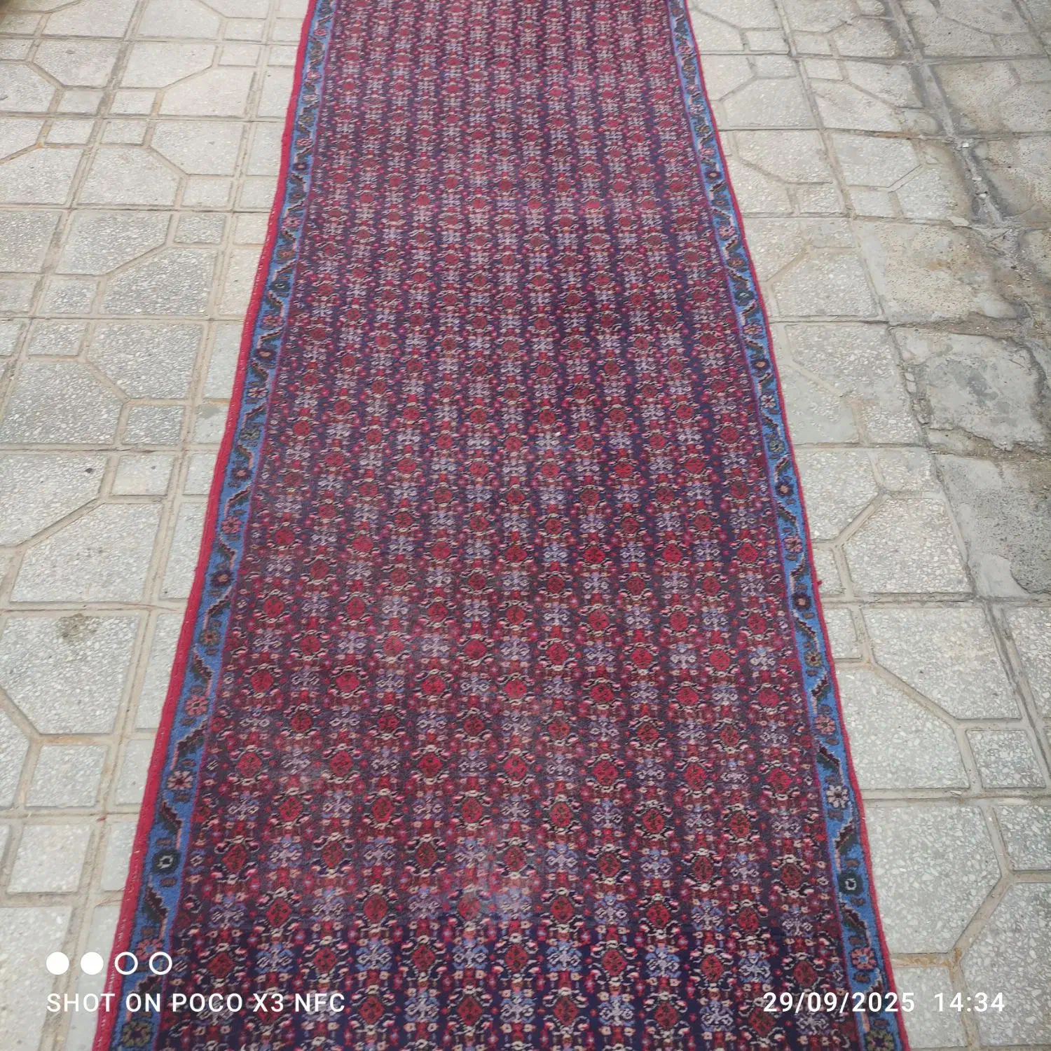 قالی دستبافت درابعادمختلف|فرش|کرمانشاه, |دیوار