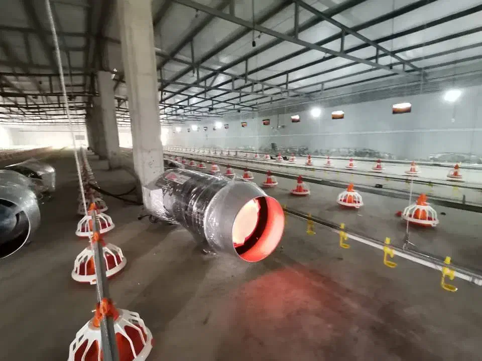 لوازم گلخانه مرغداری|بخاری، هیتر، شومینه|کرمانشاه, |دیوار