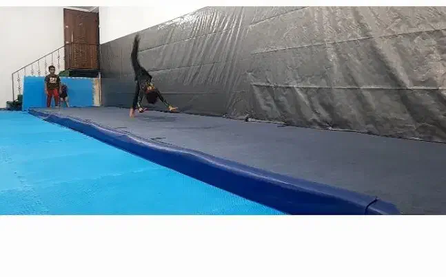 پیست فنری ژیمناستیک|تجهیزات ورزشی|نکا, |دیوار