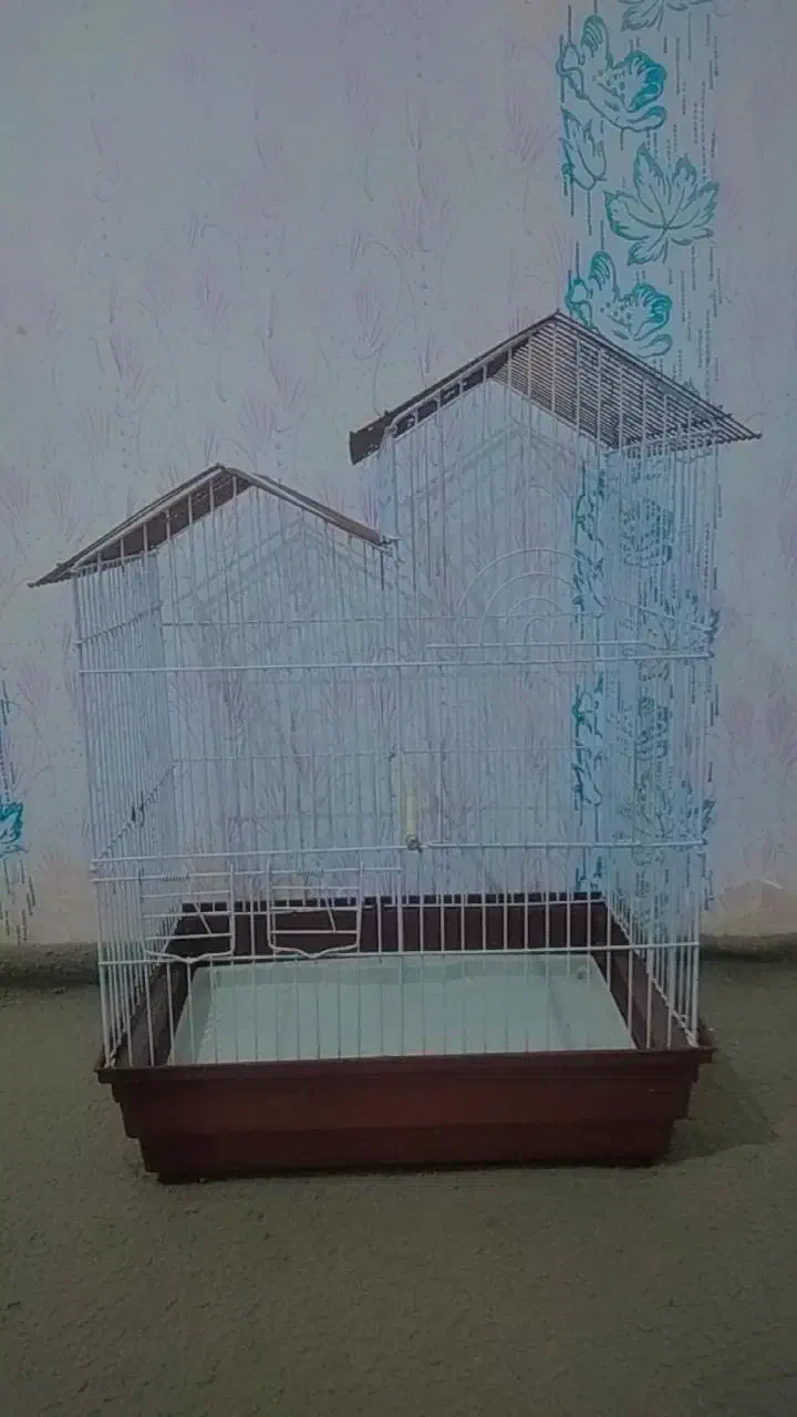 قفس|لوازم جانبی حیوانات|زابل, |دیوار