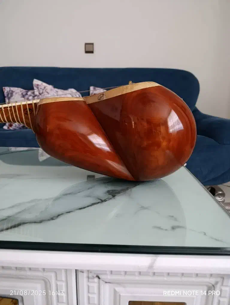 تار|سازهای سنتی|اصفهان, ناژوان|دیوار