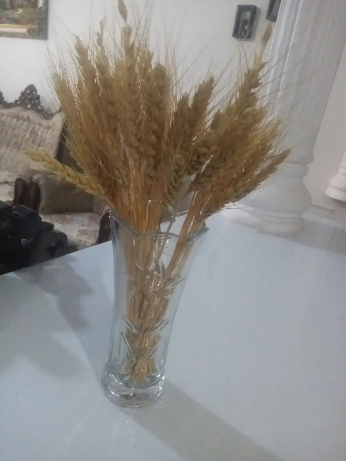 تنگ ماهی|گل مصنوعی|نیشابور, سرآب کوشک|دیوار