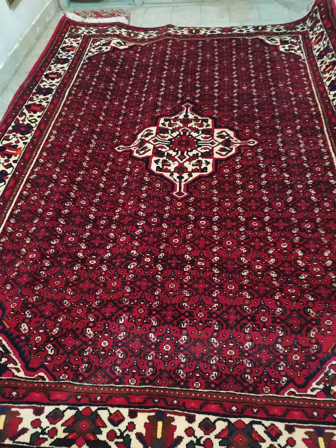 6متری ازندریان|فرش|همدان, |دیوار