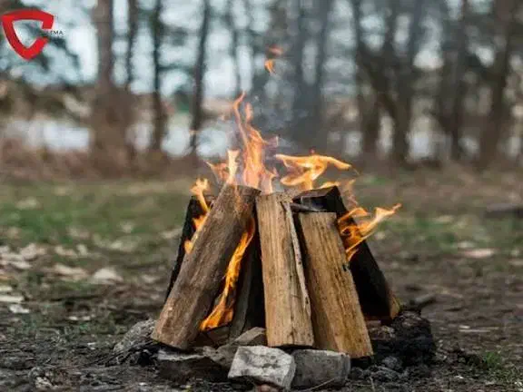 زغال|عمدهفروشی|ایذه, |دیوار