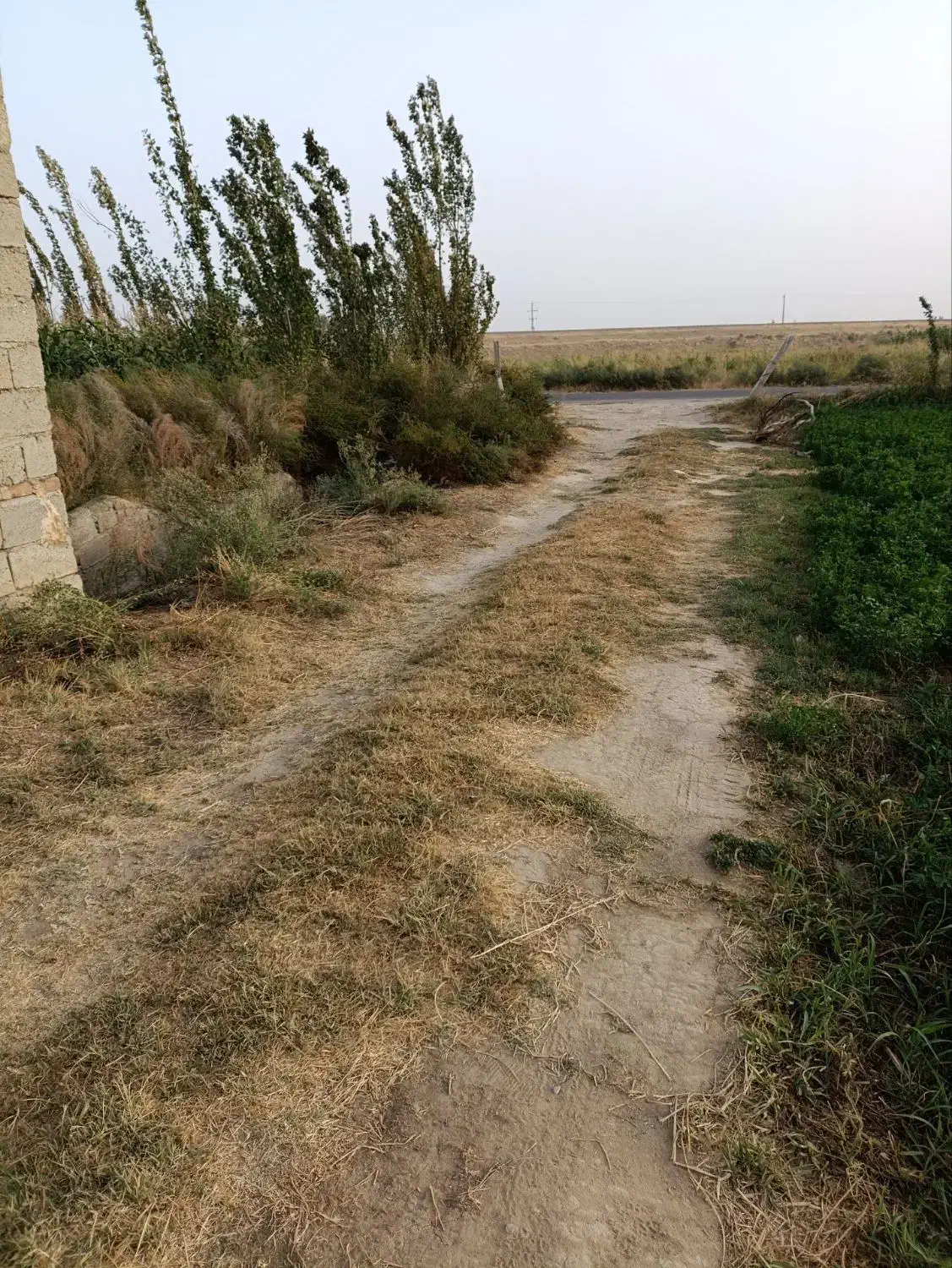 در نزدیک ترین نقطه به شهر باغ|فروش دفتر صنعتی، کشاورزی، تجاری|میاندوآب, |دیوار