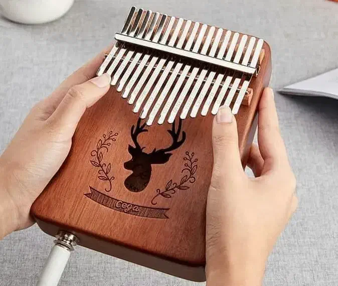 کالیمبا cega مدل پیکاپدار|پیانو، کیبورد، آکاردئون|رشت, دباغیان|دیوار