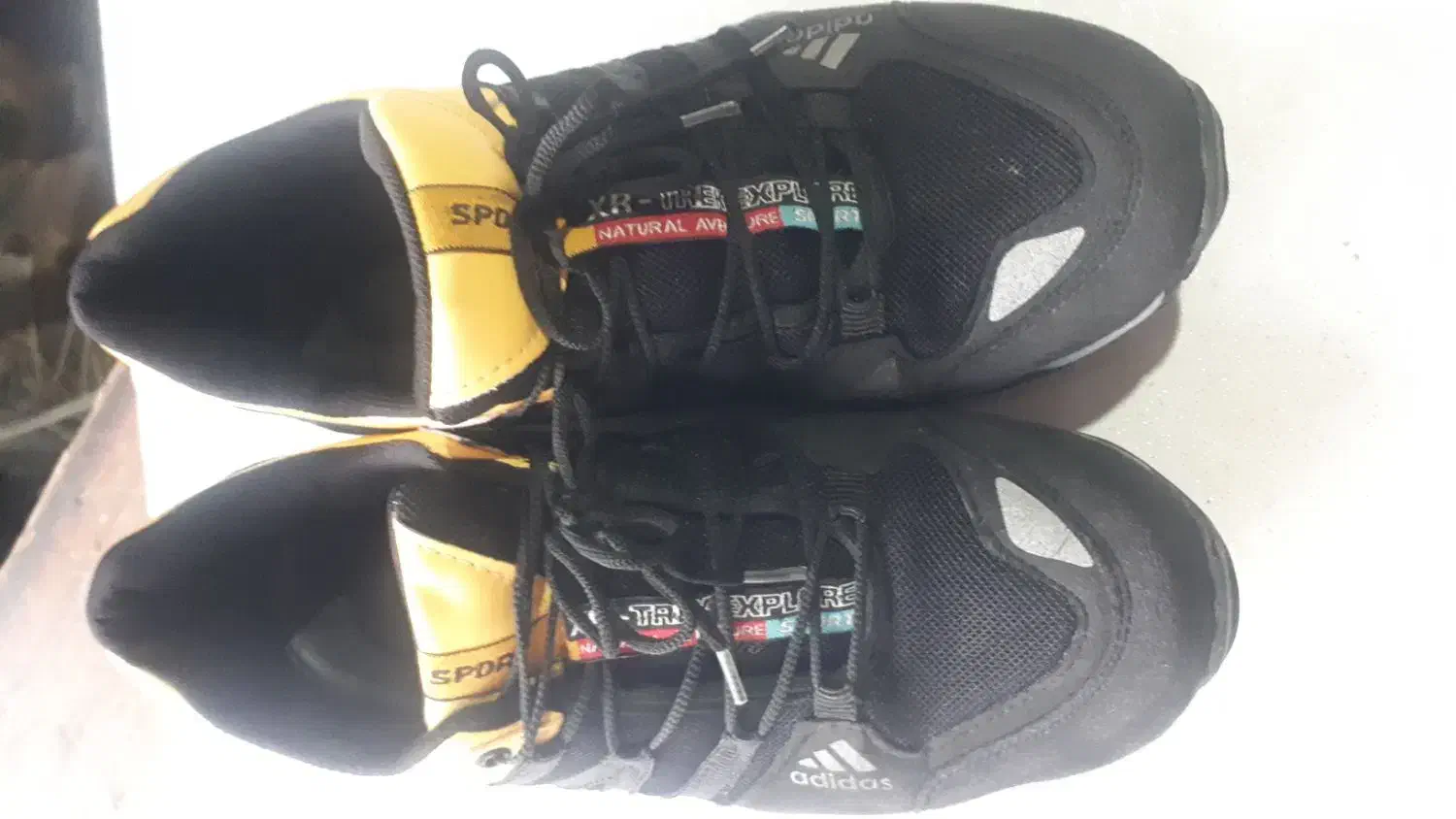 کفش|کیف، کفش، کمربند|سردشت, |دیوار