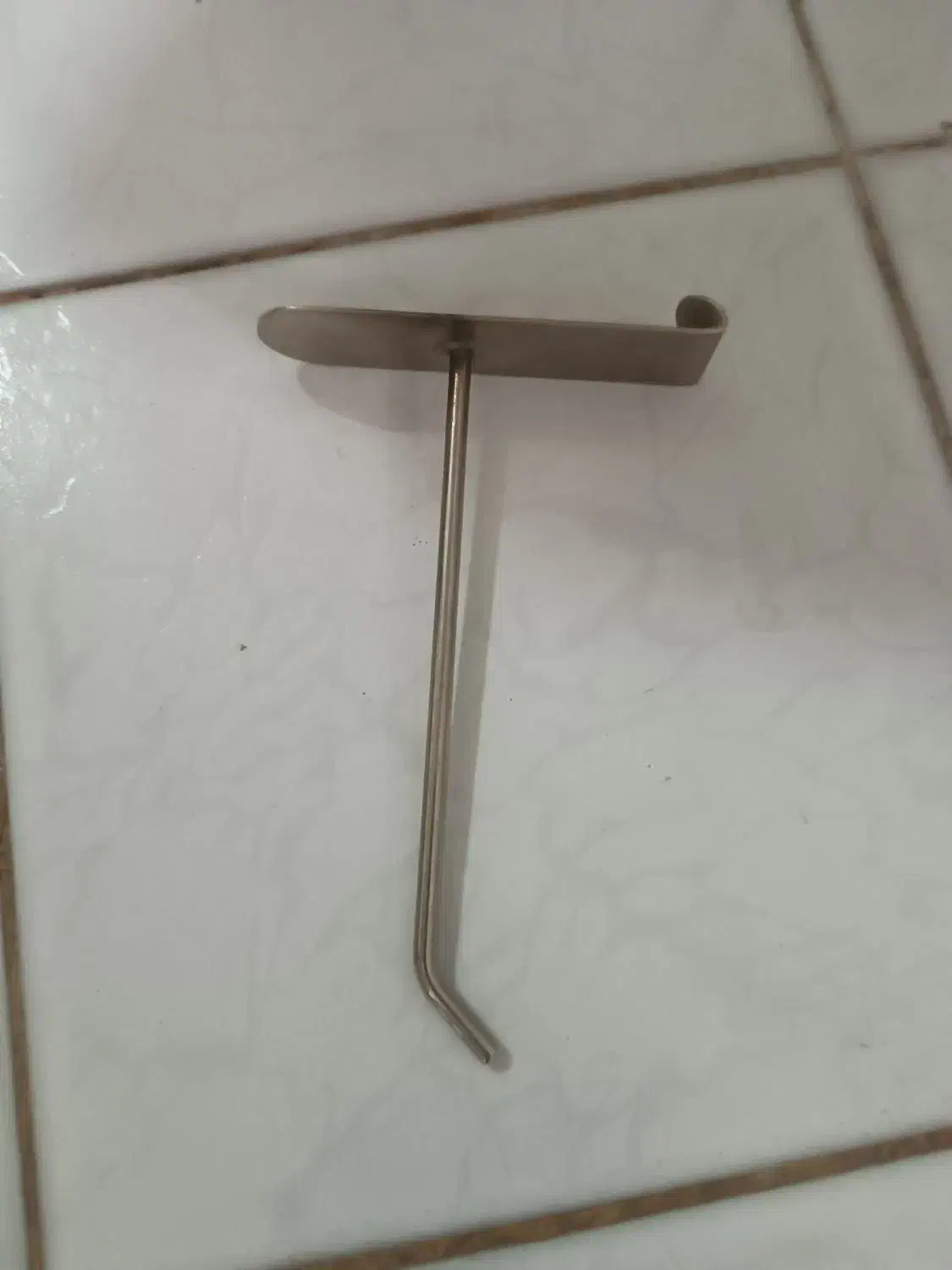 سیخک رگال|فروشگاه و مغازه|نهاوند, |دیوار