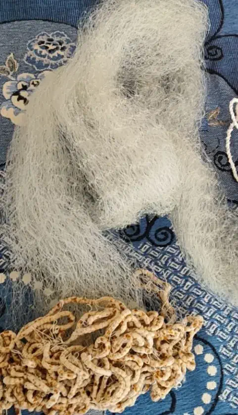 تور پرتابی ۲۲متری|ماهیگیری|مسجد سلیمان, |دیوار