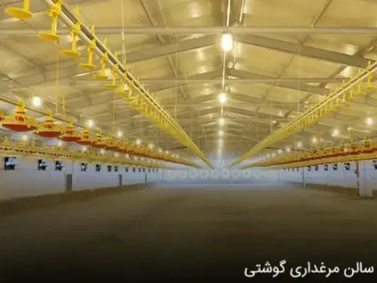 سرمایه گذار جهت احداث مرغداری|مشارکت در ساخت املاک|اسلام‌‌آباد غرب, |دیوار