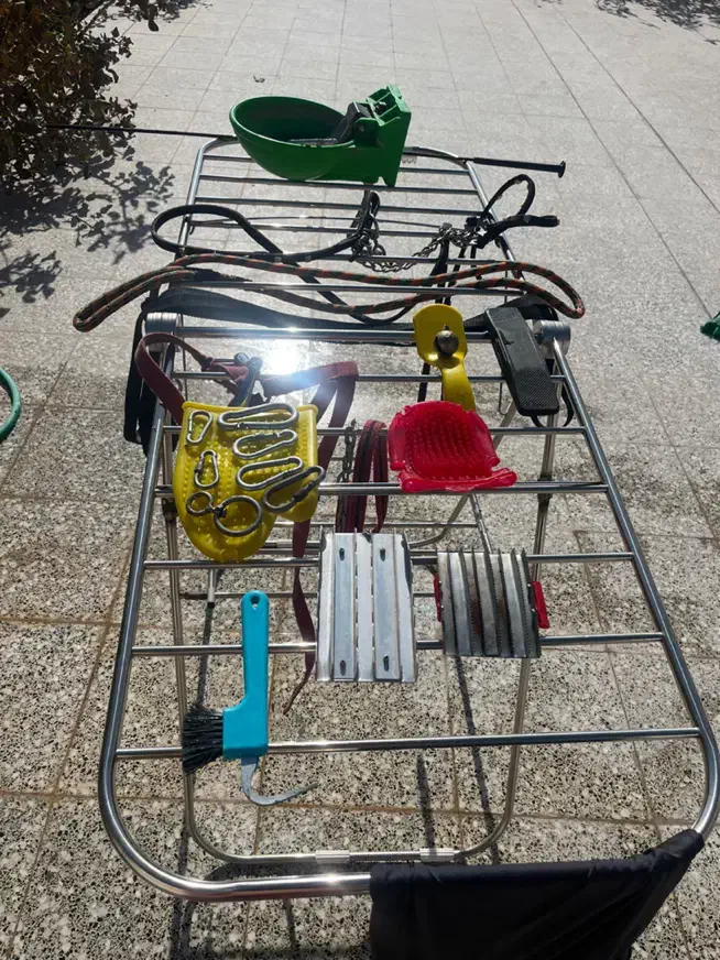 وسایل اسب|اسب و تجهیزات اسبسواری|اشکذر, |دیوار