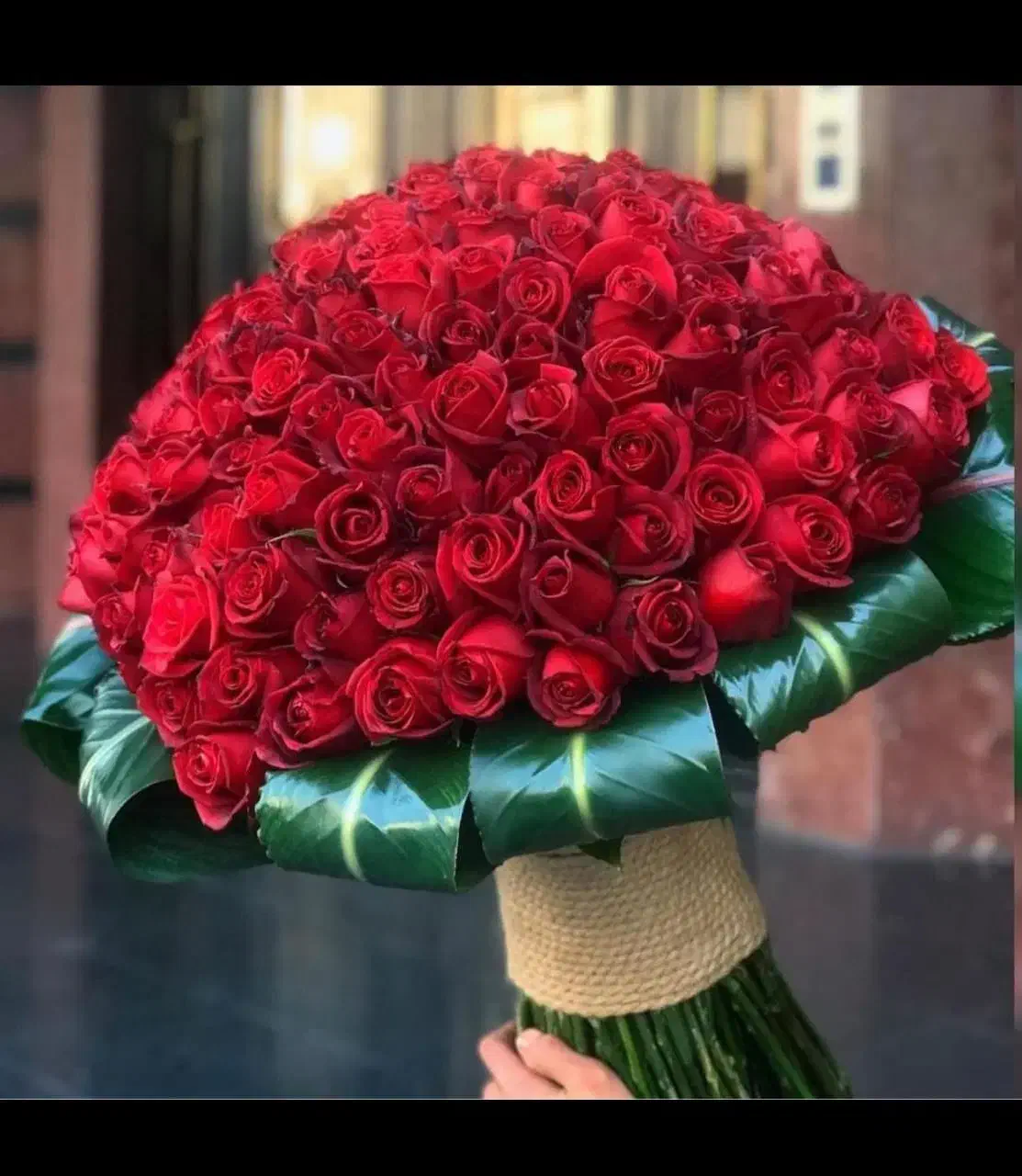 گلفروشی باکس دسته گل رز هلندی ایرانی عمده و جزئی|گل و گیاه طبیعی|تهران, مینای شمالی (مخبر)|دیوار