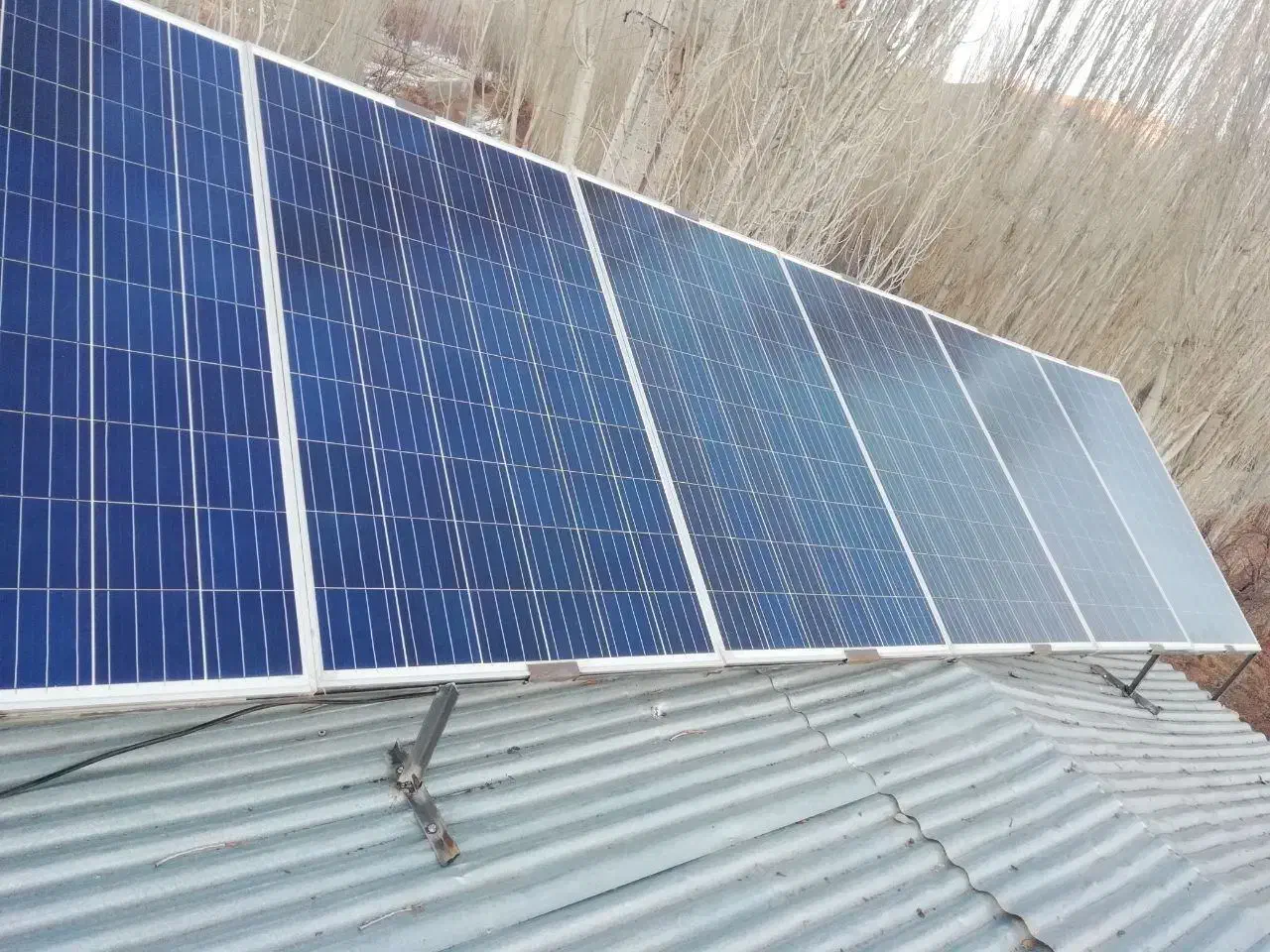 لامپ پنل برق خورشیدی|لامپ و چراغ|کرمان, |دیوار