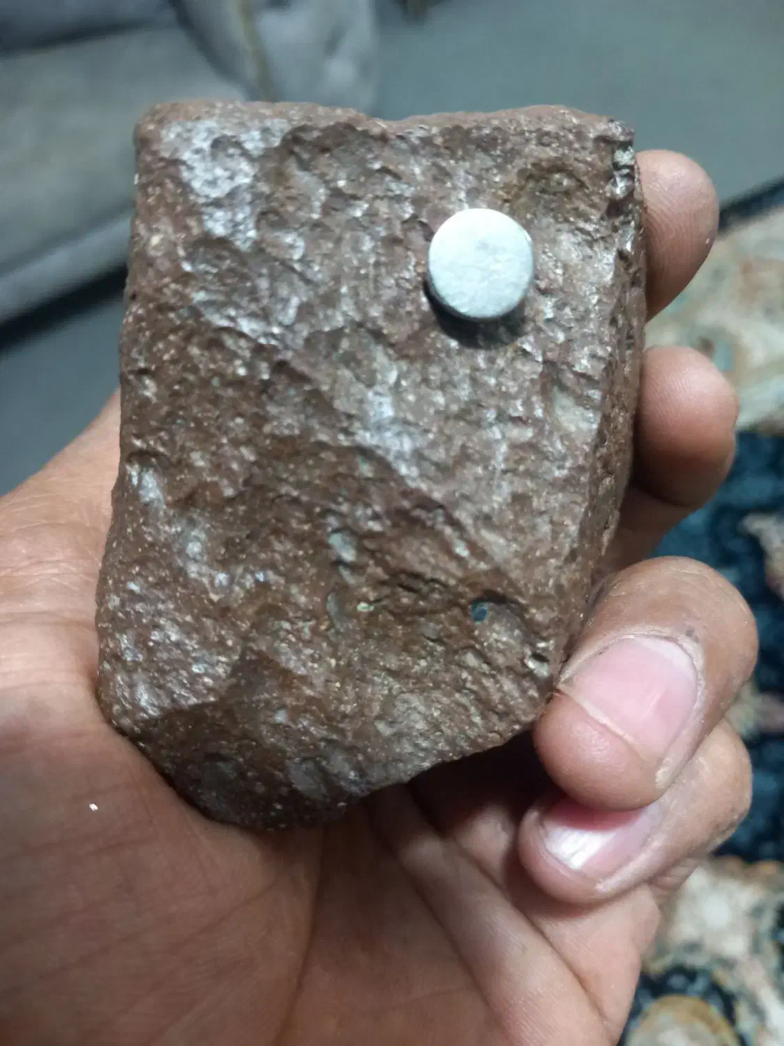 شهاب سنگ|اسباببازی|تربت جام, میان جام|دیوار