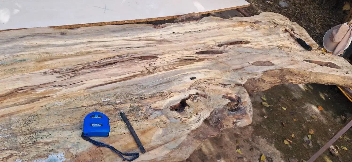 میز و کالای چوبی طبیعی جنگلی|میز و صندلی غذاخوری|ساری, |دیوار