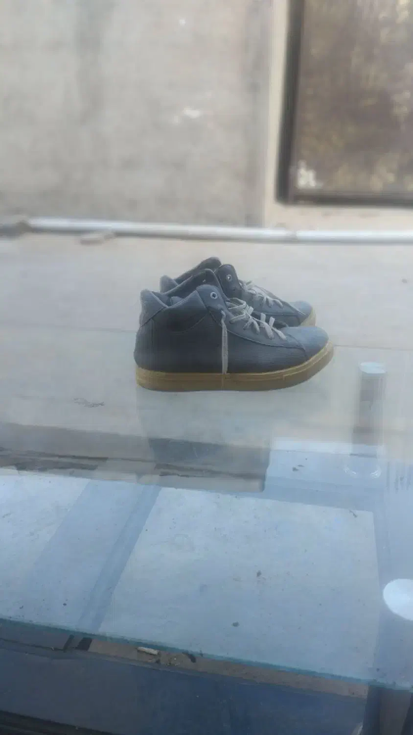 کفش|کیف، کفش، کمربند|میاندوآب, |دیوار