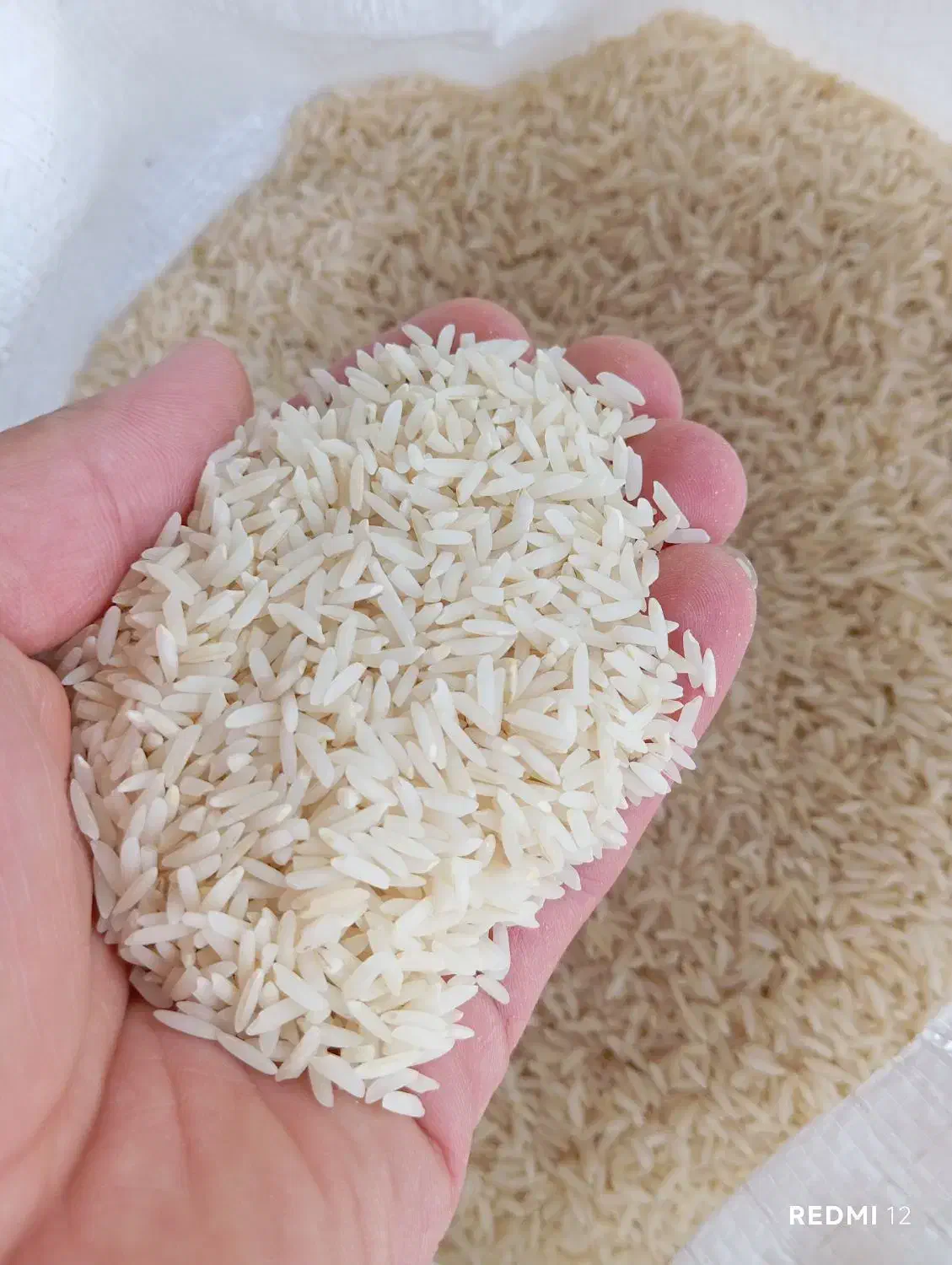 برنج هاشمی  و طارم  عطری و خوش پخت|خوردنی و آشامیدنی|حویق, |دیوار