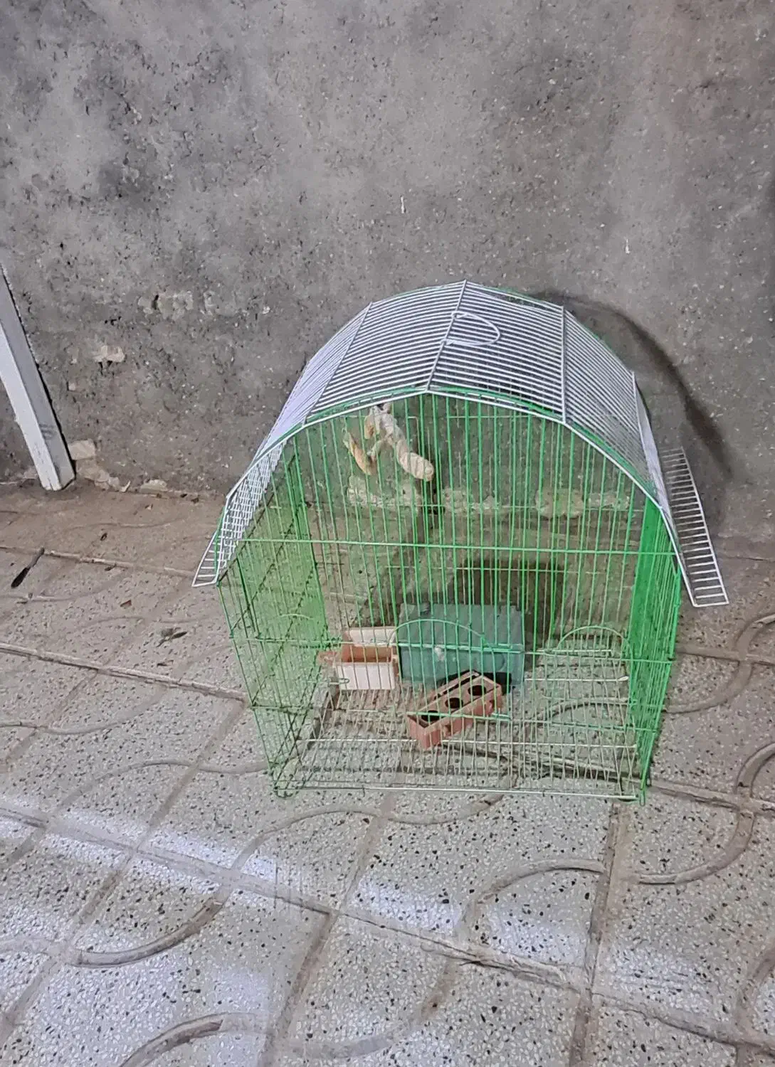 قفس پرنده|لوازم جانبی حیوانات|تربتحیدریه, شهرک ولیعصر|دیوار