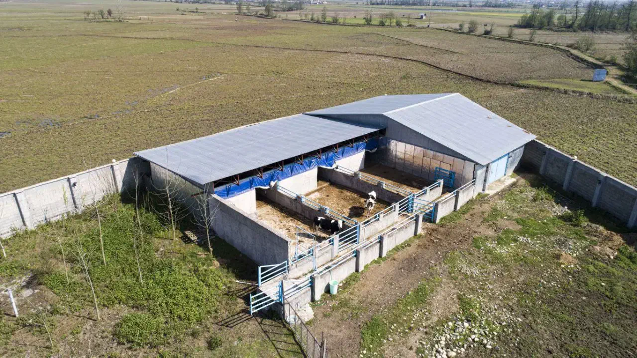 زمین چهار هزار متری سنددار|فروش زمین و ملک کلنگی|رشت, بلوار گیلان|دیوار