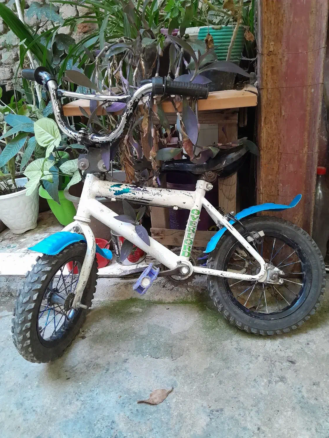 دوچرخه سایز ۱۶|دوچرخه، اسکیت، اسکوتر|گرگان, |دیوار