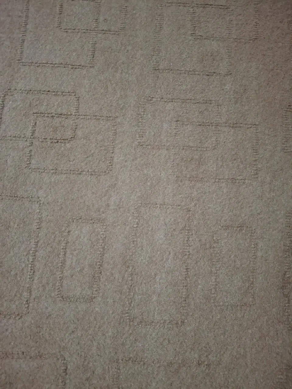 موکت|موکت|فولادشهر, B7|دیوار