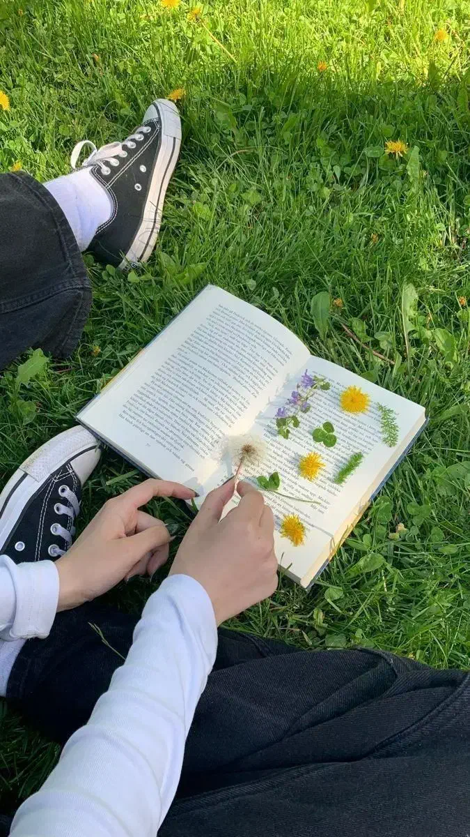 تدریس مقاطع ابتدایی خصوصی|خدمات آموزشی|سقز, |دیوار